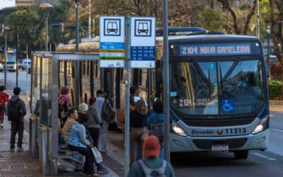 Damião anuncia gratuidade nos ônibus aos domingos e feriados em BH; confira